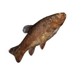 Großer Gegrillter Fisch