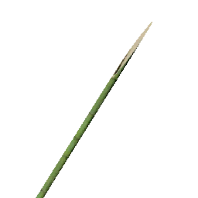 Bamboo Spear